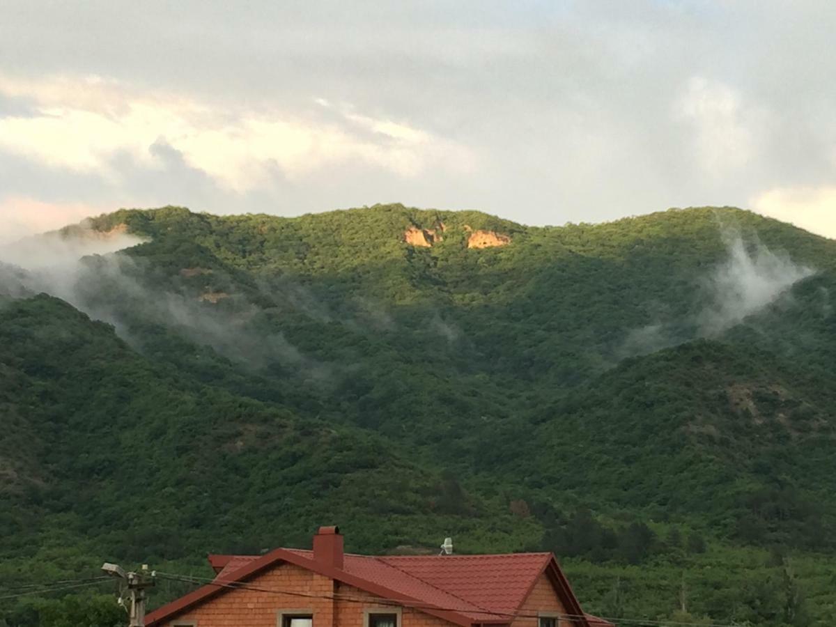 فيلا Aragvi Valley Tsitelsopeli المظهر الخارجي الصورة